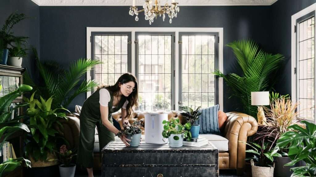 home that promotes wellness